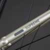 Cube Supreme RT Hybrid Comfort EXC 600 champagne’n’grey Easy Entry