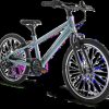 Puky LS-PRO 20-7 Kinderfahrrad – 20″ | 7-Gang – ash blue/anthracite