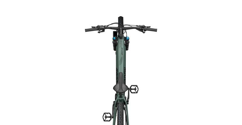 Radon JEALOUS HYBRID 10.0 750 – Bild 6