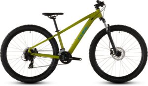 Cube Acid 260 Disc lizard´n´blue