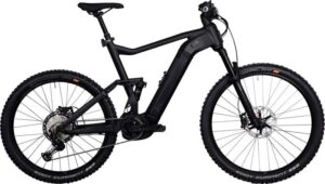 Kettler QUADRIGA DUO CX12 FS 1250W-Akku